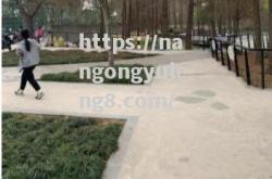 南宫娱乐-斯拉夫族对决吵闹不休，欧锦赛博弈如火如荼