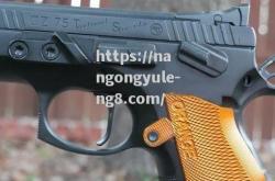 南宫娱乐-捷克射击选手射中目标，成功登金