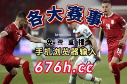 南宫娱乐-波兰队连胜斯洛文尼亚，锁定欧洲杯正赛参赛资格