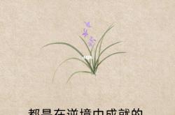 南宫娱乐-逆境成长！球队经历一番历练，最终反败为胜