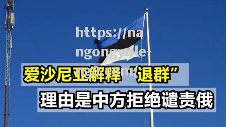 捷克主场3比0战胜爱沙尼亚，晋级前景一片光明